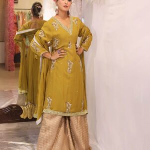 Zari And Zardozi Musterd Yellow